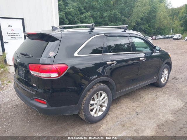 KIA Sorento 2.4l Lx 2016 5XYPGDA38GG007289 Image 4