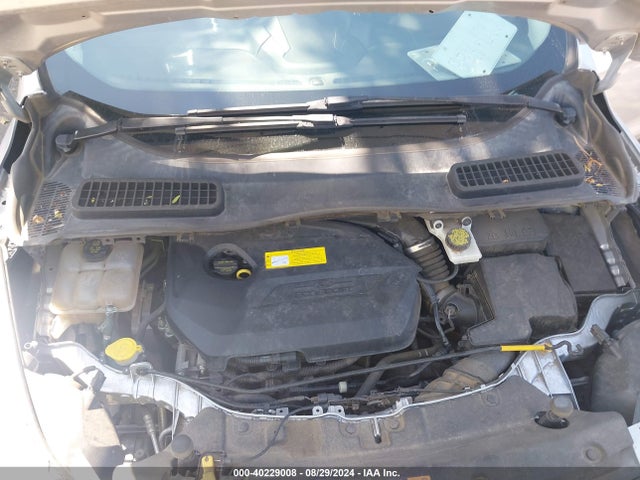 Ford ESCAPE SE 2016 1FMCU0GXXGUC05070 Image 10