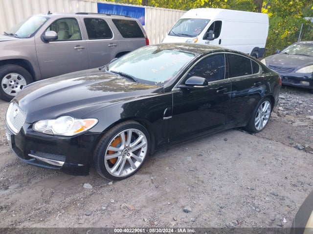 2011 JAGUAR XF SAJWA0GB0BLR89385 Photo 1