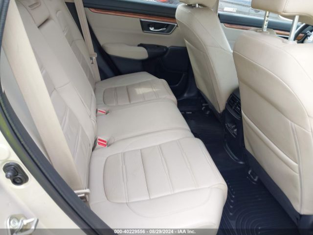 2019 HONDA CR-V 2HKRW2H57KH622179 Photo 7