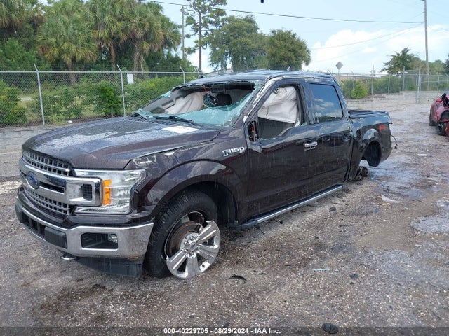 Ford F-150 Xlt 2019 1FTEW1E48KFC78960 Image 2