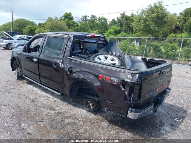Ford F-150 Xlt 2019 1FTEW1E48KFC78960 Image 3