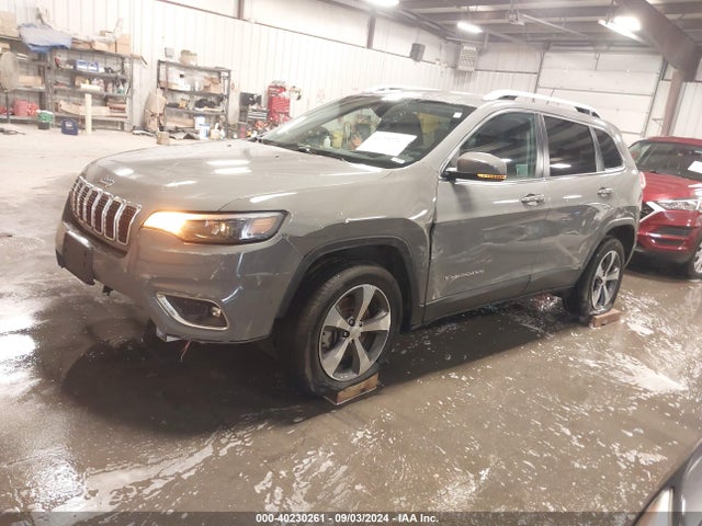 Jeep Cherokee Limited 4x4 2019 1C4PJMDX0KD441813 Image 2