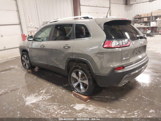 Jeep Cherokee Limited 4x4 2019 1C4PJMDX0KD441813 Image 3