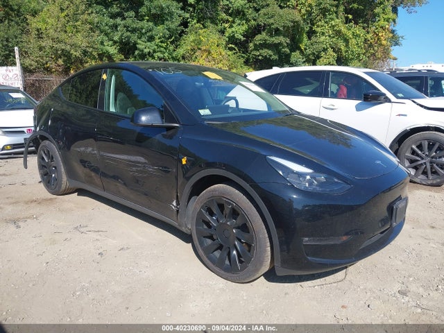 2023 TESLA MODEL Y 7SAYGDEE5PF753712 Photo 0