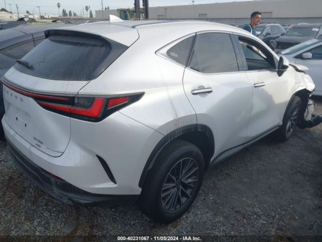 JTJAGCEZ4R5006437 Lexus NX 350