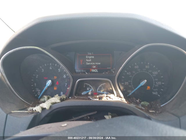 Ford FOCUS SE 2015 1FADP3F29FL343376 Image 7