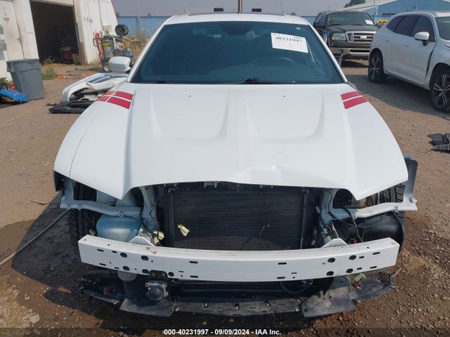 Dodge Charger R/t Max 2014 2C3CDXDT6EH159689 Image 30
