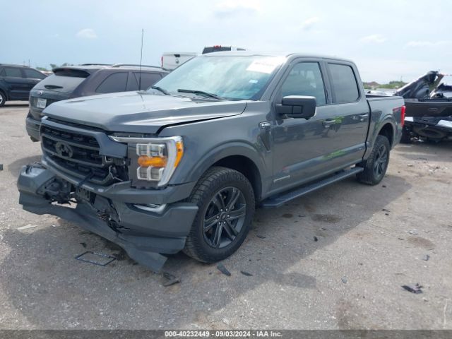 1FTFW1ED1MFB61695 Ford F-150 Xlt