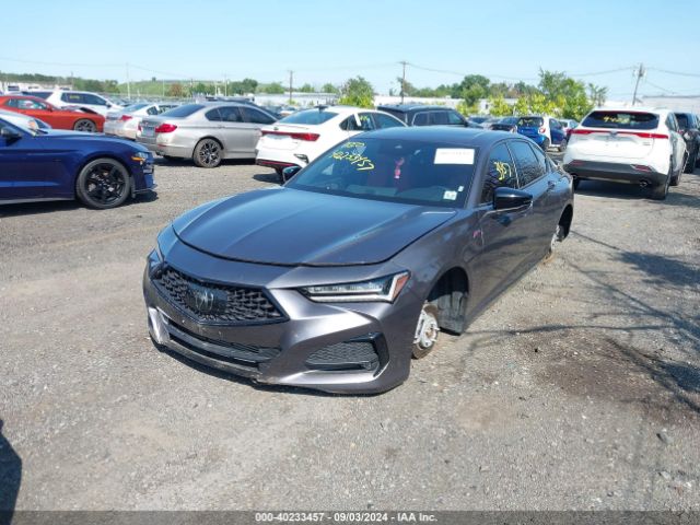 19UUB5F51NA003004 Acura Tlx A-spec Package