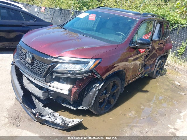 Honda Passport Elite 2019 5FNYF8H00KB019608 Image 2