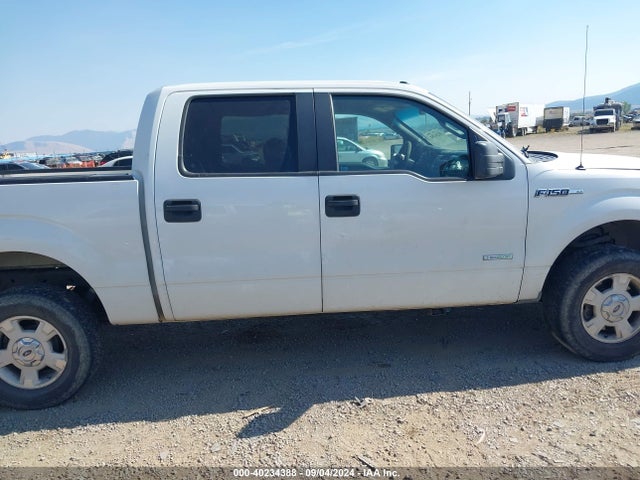 Ford F-150 Xlt 2014 1FTFW1ET3EFB22597 Image 13