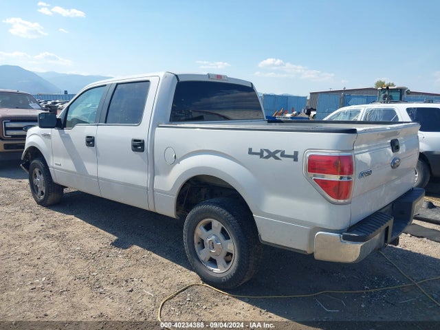 Ford F-150 Xlt 2014 1FTFW1ET3EFB22597 Image 3