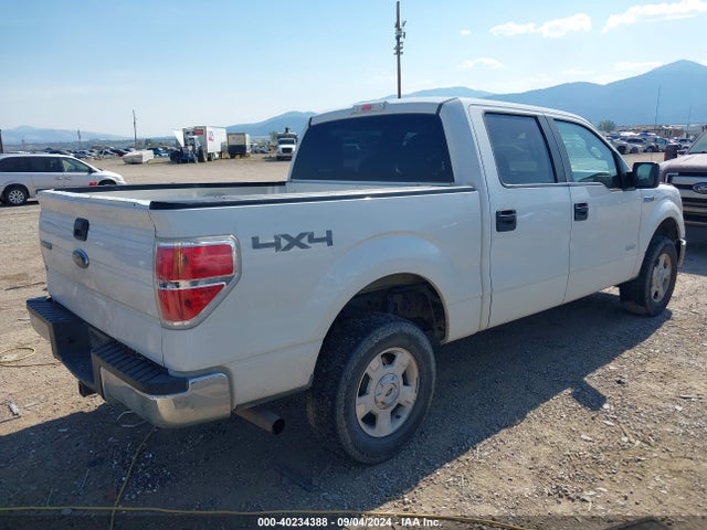 Ford F-150 Xlt 2014 1FTFW1ET3EFB22597 Image 4