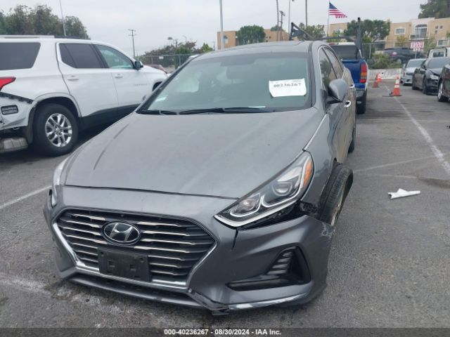 5NPE34AF8JH695663 Hyundai Sonata Limited