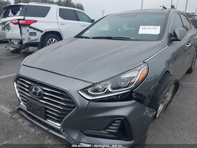 5NPE34AF8JH695663 Hyundai Sonata Limited