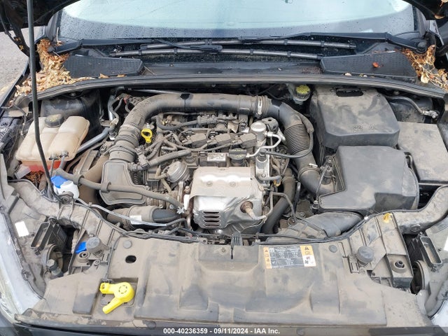 1FADP3FE8GL329299 Ford FOCUS SE