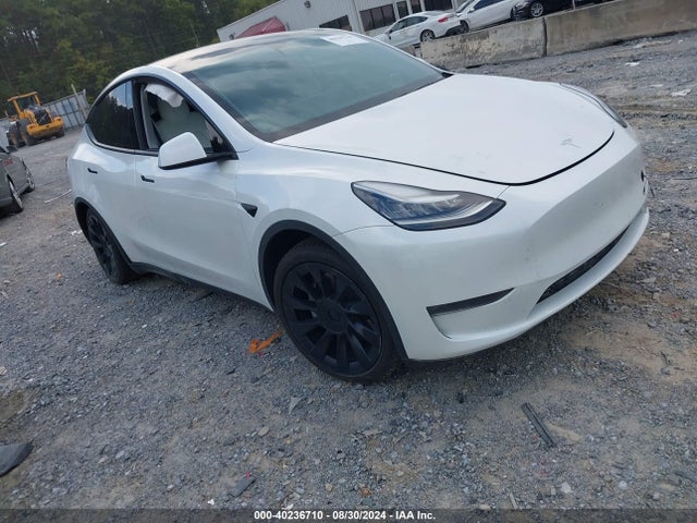 2020 TESLA MODEL Y 5YJYGDEE8LF014602 Photo 0
