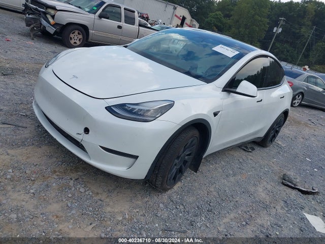 2020 TESLA MODEL Y 5YJYGDEE8LF014602 Photo 1