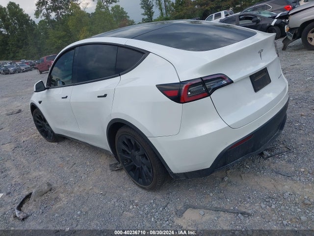 2020 TESLA MODEL Y 5YJYGDEE8LF014602 Photo 2