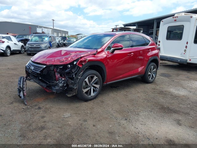 JTJDARBZ3M5027536 Lexus NX 300