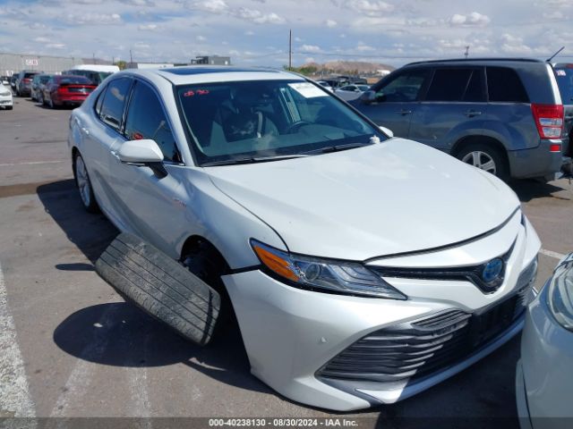 4T1F31AK1LU012481 Toyota Camry Xle Hybrid