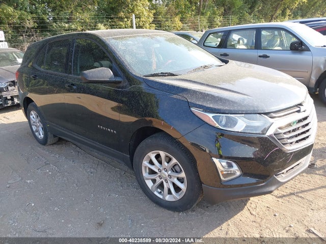 Chevrolet EQUINOX LS 2018 3GNAXHEV2JL404528 Image 1