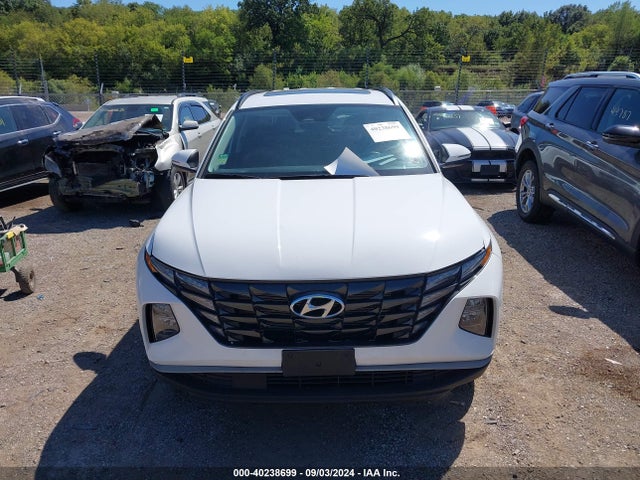 Hyundai TUCSON SEL 2024 5NMJFCDE4RH314628 Image 12
