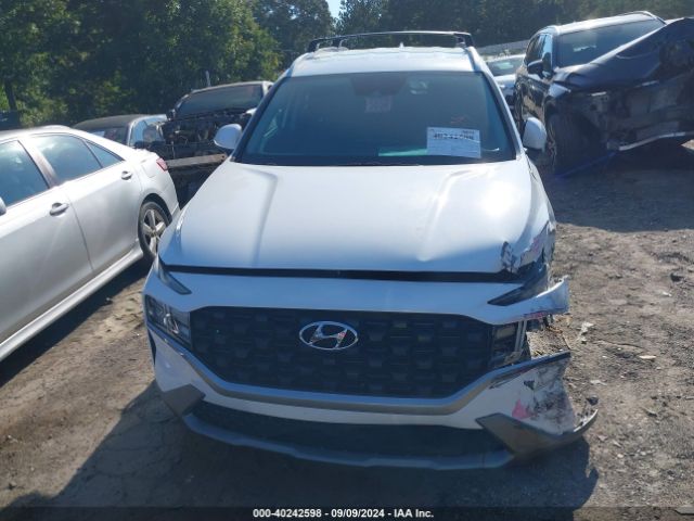 5NMS24AJ5PH602226 Hyundai Santa Fe Sel