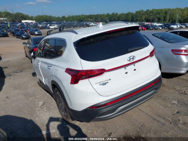 5NMS24AJ5PH602226 Hyundai Santa Fe Sel