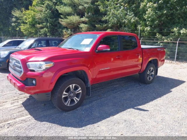 3TMCZ5AN6GM030525 Toyota Tacoma