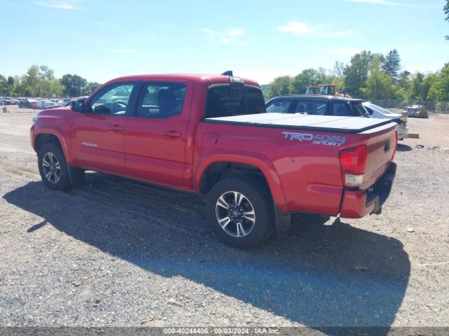3TMCZ5AN6GM030525 Toyota Tacoma