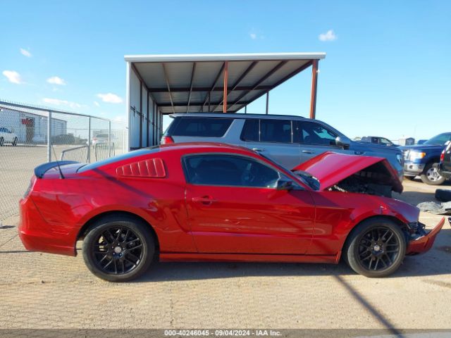1ZVBP8AM2E5326393 Ford Mustang V6