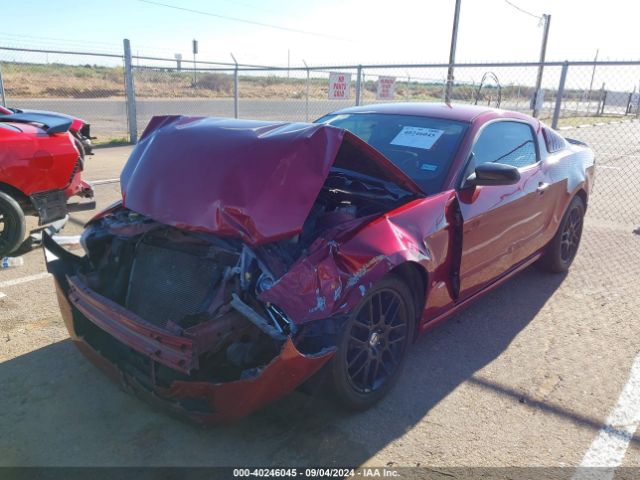 1ZVBP8AM2E5326393 Ford Mustang V6