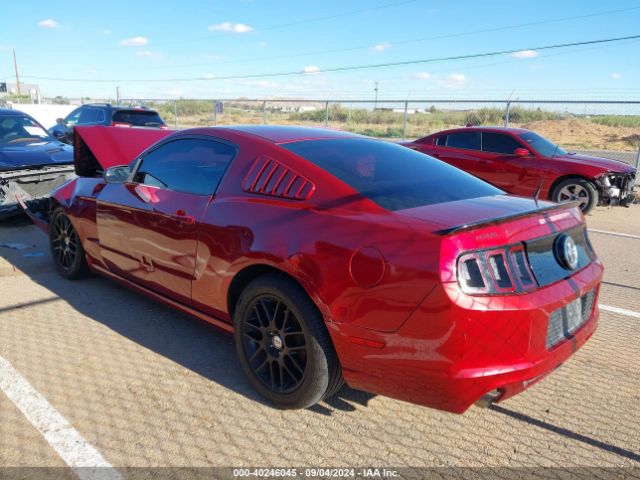 1ZVBP8AM2E5326393 Ford Mustang V6
