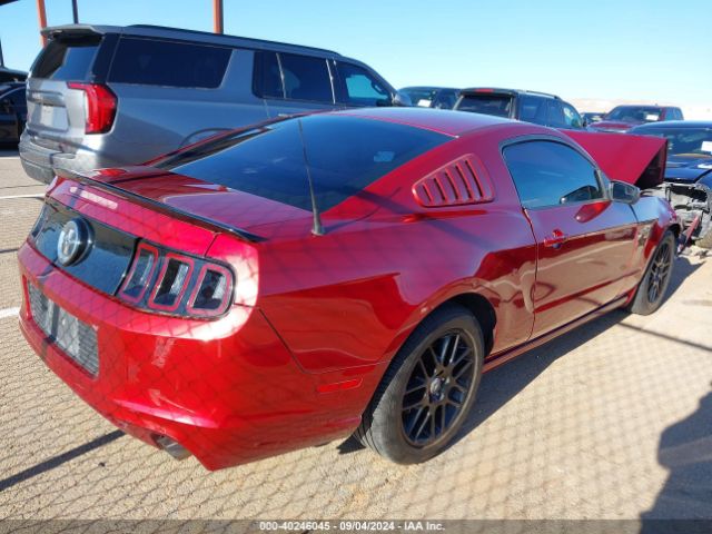 1ZVBP8AM2E5326393 Ford Mustang V6