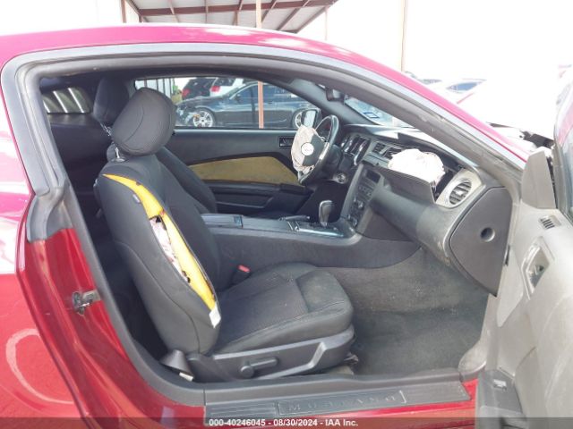 1ZVBP8AM2E5326393 Ford Mustang V6