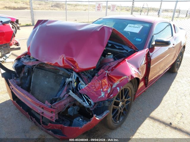 1ZVBP8AM2E5326393 Ford Mustang V6