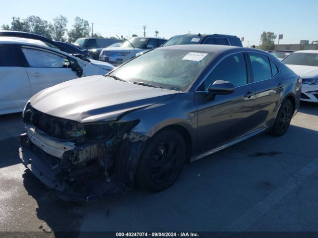 4T1C31AKXLU527031 Toyota Camry Le Hybrid