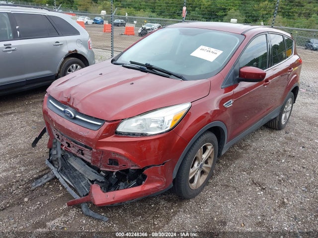 Ford ESCAPE SE 2016 1FMCU0GX6GUB00770 Image 2