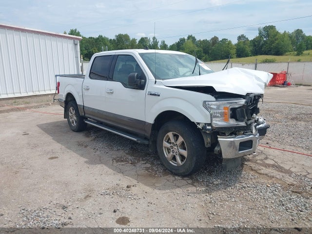 2019 1FTEW1EPXKFB35387 main image