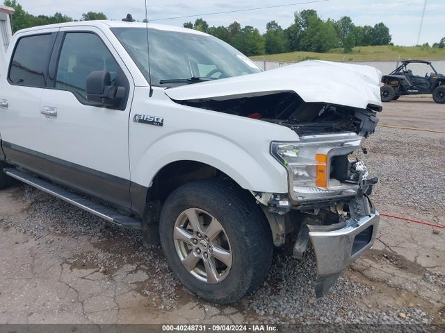 Ford F-150 Xlt 2019 1FTEW1EPXKFB35387 Image 19