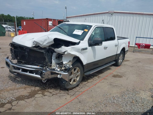 Ford F-150 Xlt 2019 1FTEW1EPXKFB35387 Image 2
