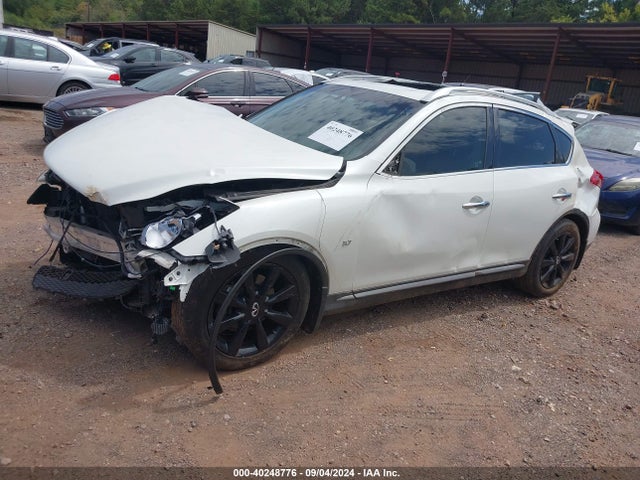 JN1BJ0RP1GM231579 Infiniti QX50