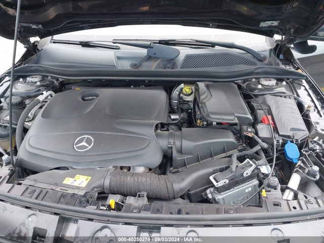 W1NTG4EB0LU029613 Mercedes-Benz GLA 250
