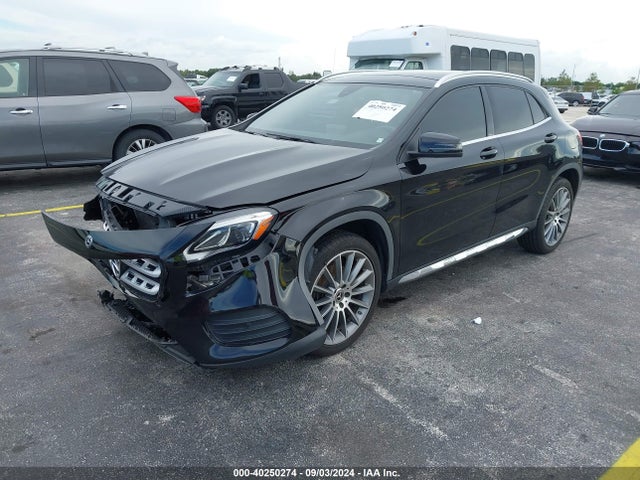 W1NTG4EB0LU029613 Mercedes-Benz GLA 250