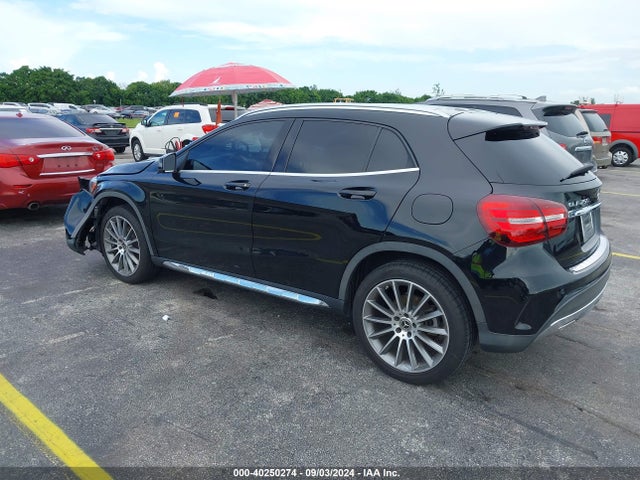 W1NTG4EB0LU029613 Mercedes-Benz GLA 250