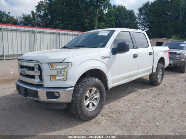 1FTEW1E84FKD21559 Ford F-150 Xlt