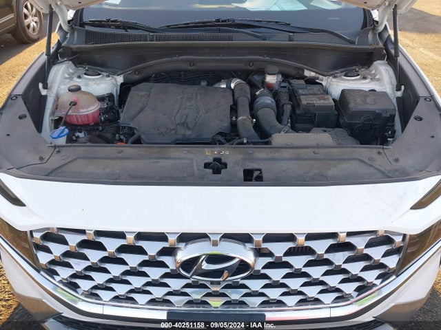 Hyundai Santa Fe Limited 2021 5NMS44AL0MH332300 Image 10