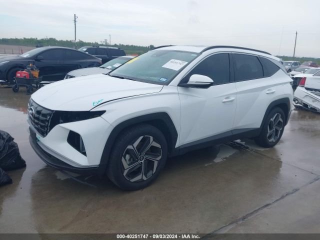 5NMJF3DE0RH307868 Hyundai TUCSON SEL